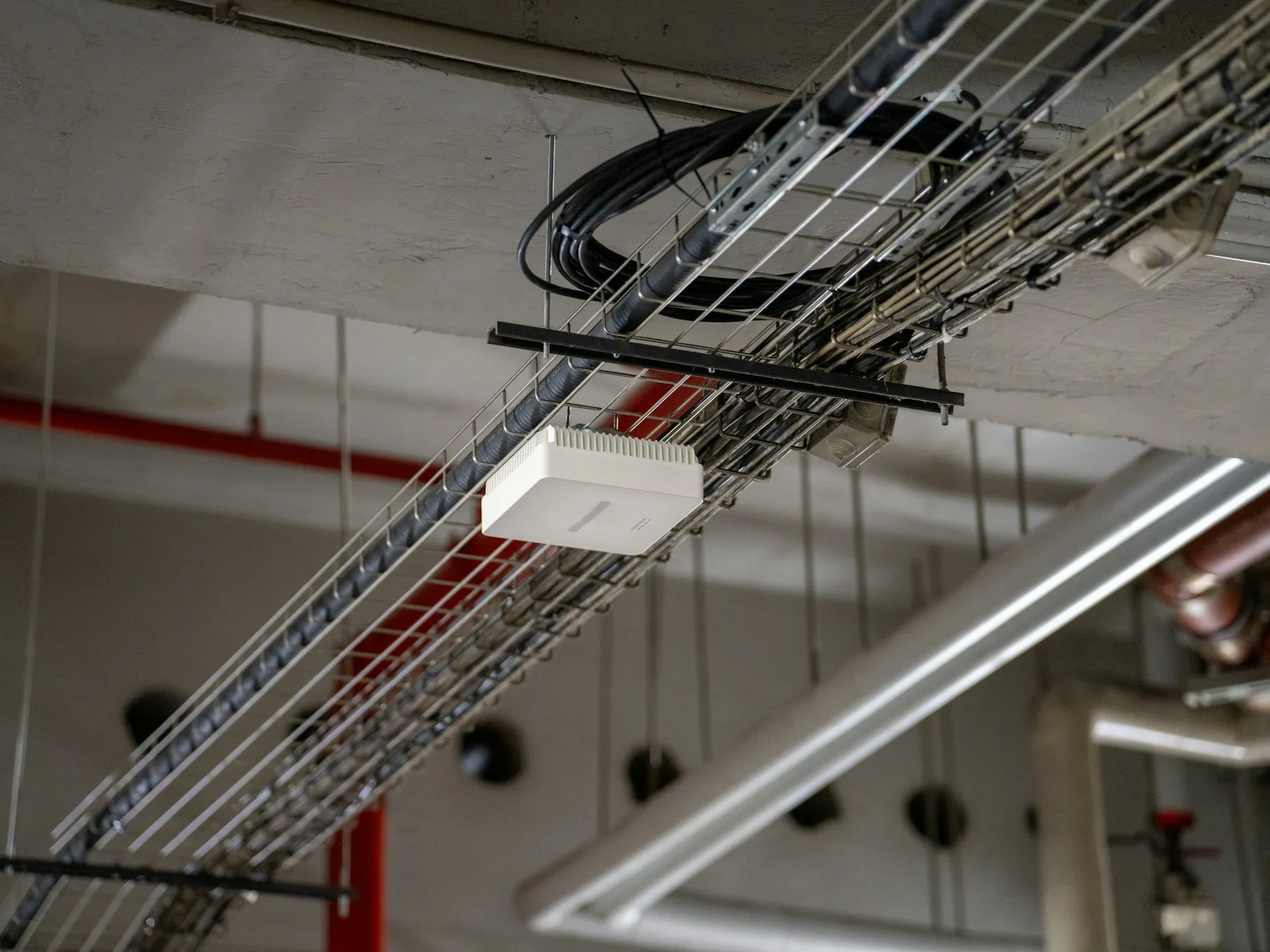 Wire mesh cable tray carrying cables