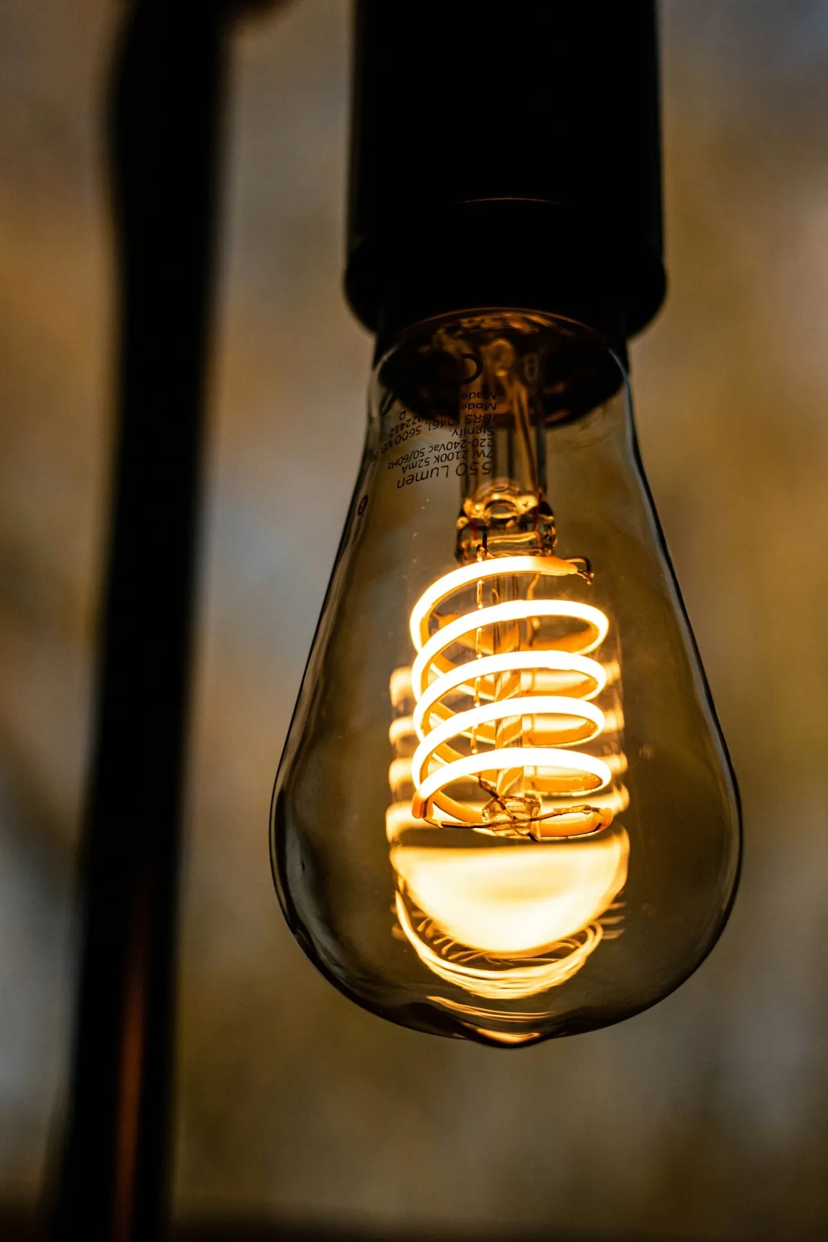 LED filament light bulb