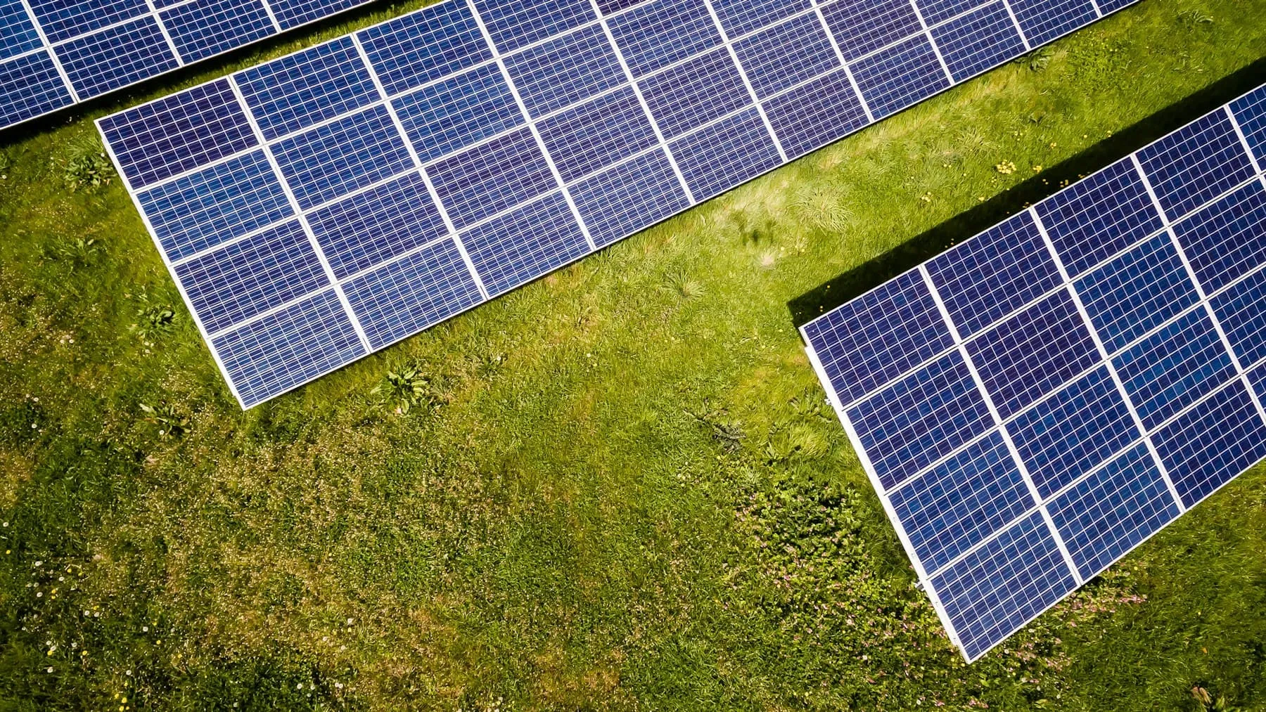 Aerial view of solar panels